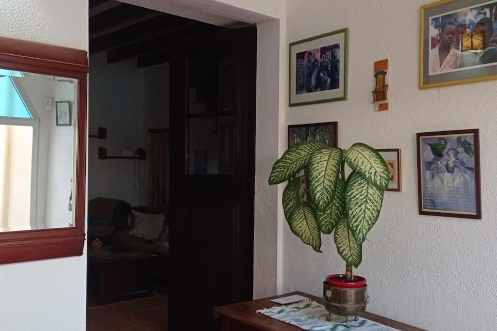 Ca Na Perereta Vakantiehuis